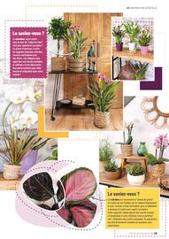 Catalogue VillaVerde page 49