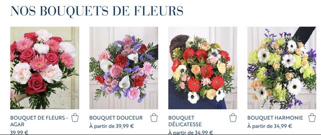 Catalogue Monceau Fleurs page 1