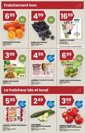 Rachelle-Bery Grocery flyer week 10 Page 3