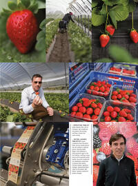 Organic Super Store catalogue Page 41