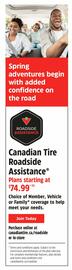 Canadian Tire flyer week 10 Page 29