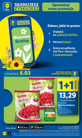 Lidl gazetka Strona 4