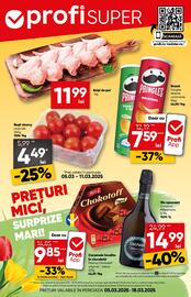 Catalog PROFI Pagină 1