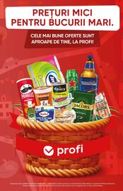 Catalog PROFI Pagină 15