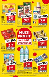 Catalog PROFI Pagină 7