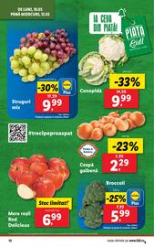 Catalog Lidl săptămâna 11 Pagină 10