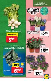 Catalog Lidl săptămâna 11 Pagină 11