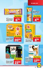 Catalog Lidl săptămâna 11 Pagină 31