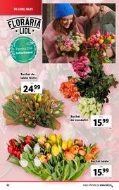 Catalog Lidl săptămâna 11 Pagină 62