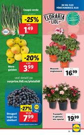 Catalog Lidl săptămâna 11 Pagină 71