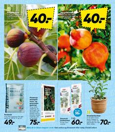 Bilka tilbudsavis uge 10 Side 30