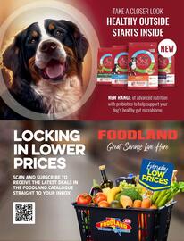 Foodland catalogue Page 59