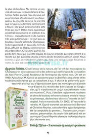 Catalogue Satoriz page 43