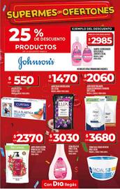 Catálogo Supermercados DIA semana 10 Página 29