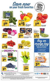 Food Lion Weekly Ad week 10 Page 8