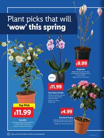 Lidl leaflet week 11 Page 20