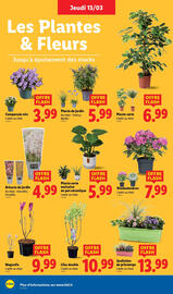 Catalogue Lidl semaine 11 page 28