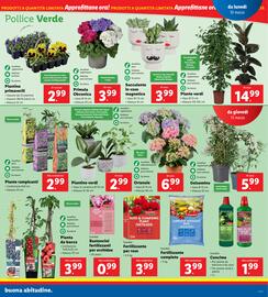 Volantino Lidl settimana 11 Pagina 25