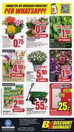 B1 Discount Baumarkt Prospekt woche 10 Seite 10