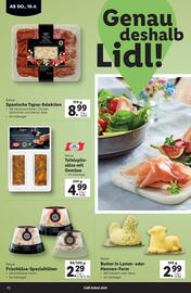 Lidl Flugblatt Seite 42