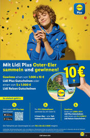 Lidl Flugblatt Seite 51