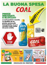 Volantino SuperCoal Pagina 16