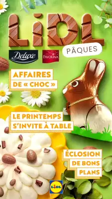 Catalogue Lidl (valable jusqu'au 27-04)