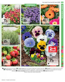 Catalogue Carrefour page 7