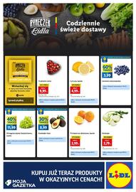 Lidl gazetka Strona 4