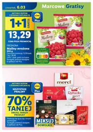 Lidl gazetka Strona 5