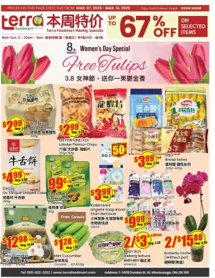 Terra Foodmart flyer (valid until 13-03)