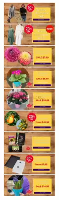 Terra Green Houses flyer (valid until 13-03)