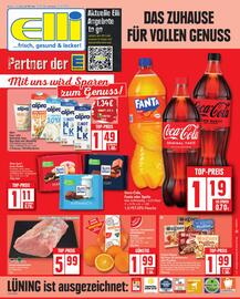 Elli Markt Prospekt woche 11 Seite 1