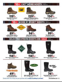 Blain's Farm & Fleet Weekly Ad Page 13