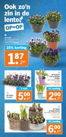 Albert Heijn folder week 11 Pagina 28