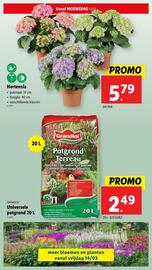 Lidl folder week 11 Pagina 33