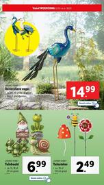 Lidl folder week 11 Pagina 41