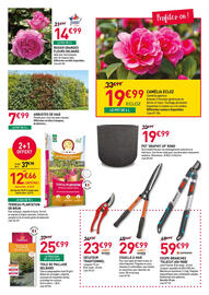 Catalogue RAGT Jardin & Maison page 3