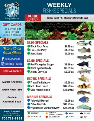 Big Al&#x27;s Pets flyer (valid until 13-03)