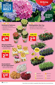 Lidl Flugblatt woche 11 Seite 32