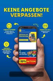 Lidl Flugblatt woche 11 Seite 51