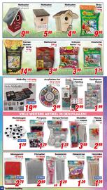 CENTERSHOP Prospekt woche 11 Seite 16