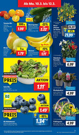 Lidl Prospekt woche 11 Seite 3