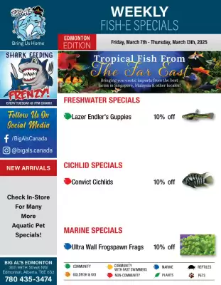 Big Al&#x27;s Pets flyer (valid until 13-03)