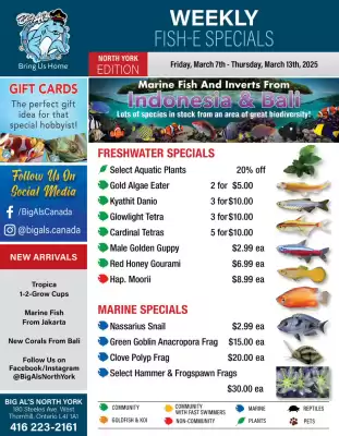 Big Al&#x27;s Pets flyer (valid until 13-03)