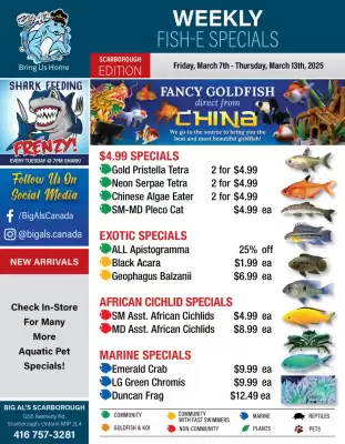 Big Al&#x27;s Pets flyer (valid until 13-03)