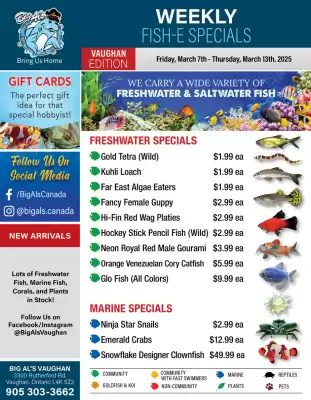 Big Al&#x27;s Pets flyer (valid until 13-03)