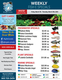 Big Al&#x27;s Pets flyer week 10 Page 1