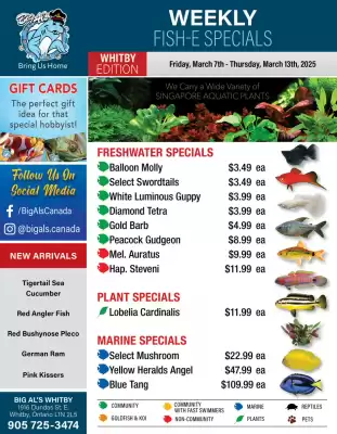 Big Al&#x27;s Pets flyer (valid until 13-03)