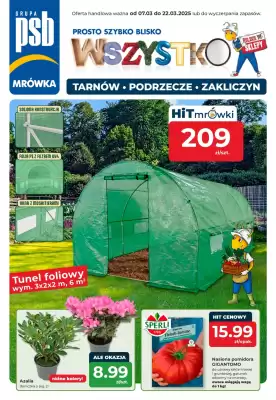 Mrówka gazetka (ważność do 22-03)